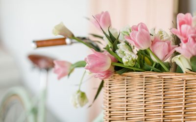 Die 10 schönsten Hochzeitsblumen